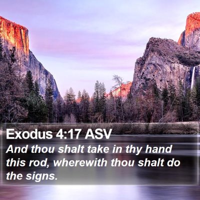 Exodus 4:17 ASV Bible Verse Image