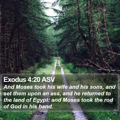 Exodus 4:20 ASV Bible Verse Image