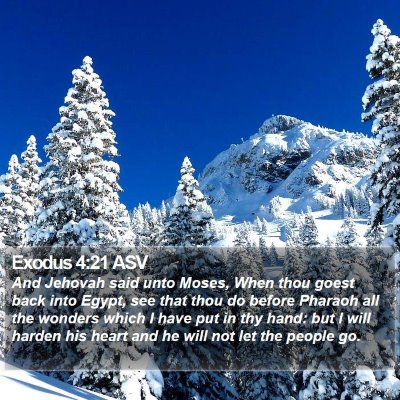 Exodus 4:21 ASV Bible Verse Image