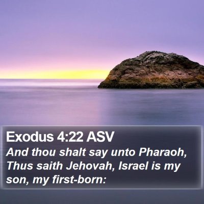 Exodus 4:22 ASV Bible Verse Image
