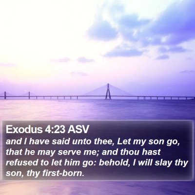 Exodus 4:23 ASV Bible Verse Image