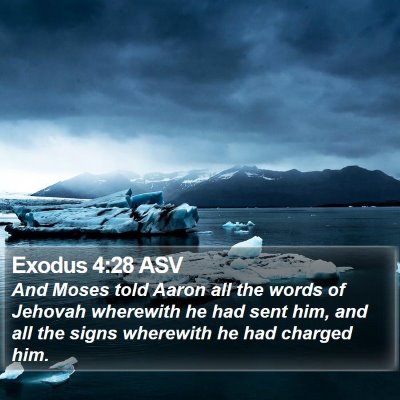 Exodus 4:28 ASV Bible Verse Image