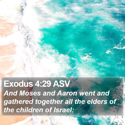 Exodus 4:29 ASV Bible Verse Image