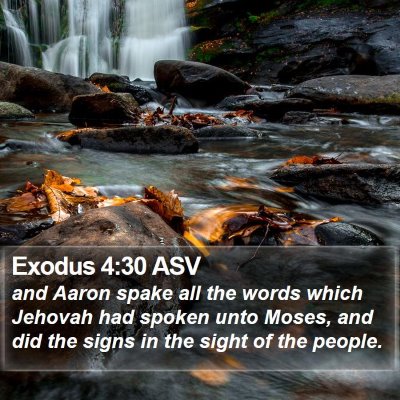 Exodus 4:30 ASV Bible Verse Image