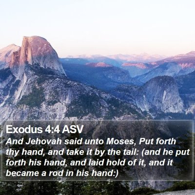 Exodus 4:4 ASV Bible Verse Image