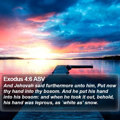 Exodus 4:6 ASV Bible Verse Image