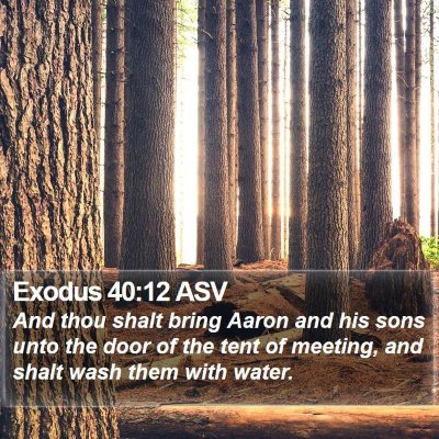 Exodus 40:12 ASV Bible Verse Image