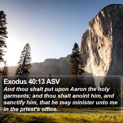 Exodus 40:13 ASV Bible Verse Image