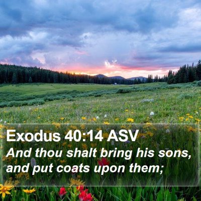 Exodus 40:14 ASV Bible Verse Image