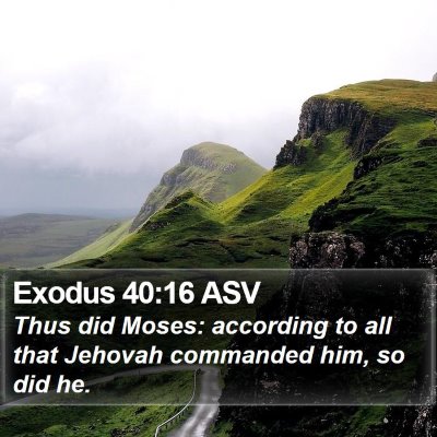 Exodus 40:16 ASV Bible Verse Image