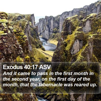 Exodus 40:17 ASV Bible Verse Image