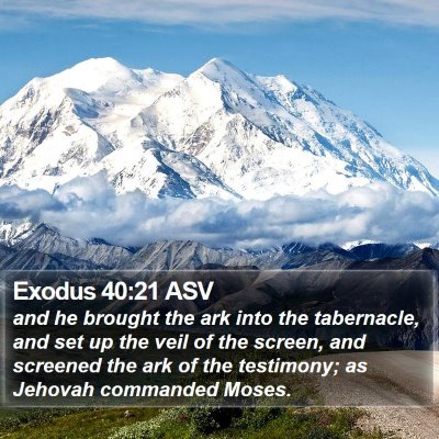Exodus 40:21 ASV Bible Verse Image
