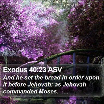 Exodus 40:23 ASV Bible Verse Image