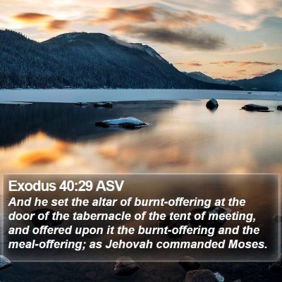 Exodus 40:29 ASV Bible Verse Image