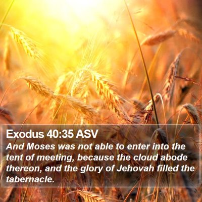 Exodus 40:35 ASV Bible Verse Image