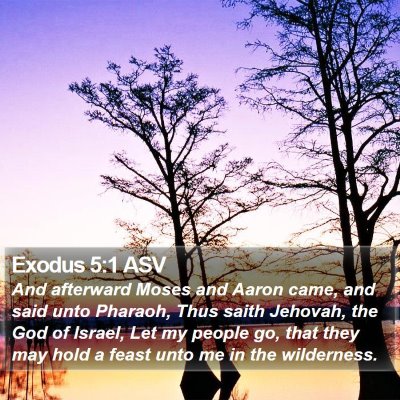 Exodus 5:1 ASV Bible Verse Image