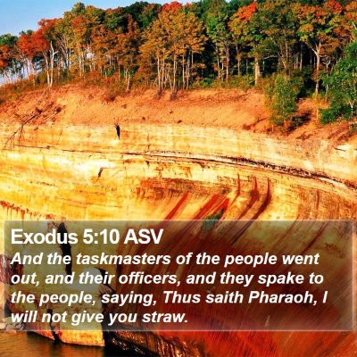 Exodus 5:10 ASV Bible Verse Image