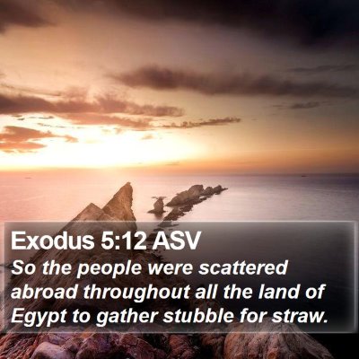 Exodus 5:12 ASV Bible Verse Image