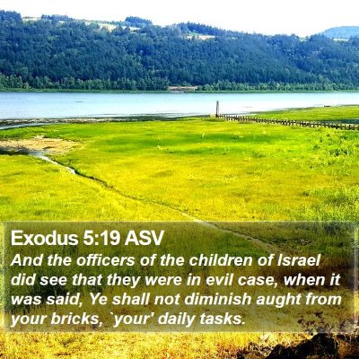 Exodus 5:19 ASV Bible Verse Image
