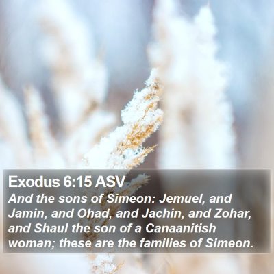 Exodus 6:15 ASV Bible Verse Image