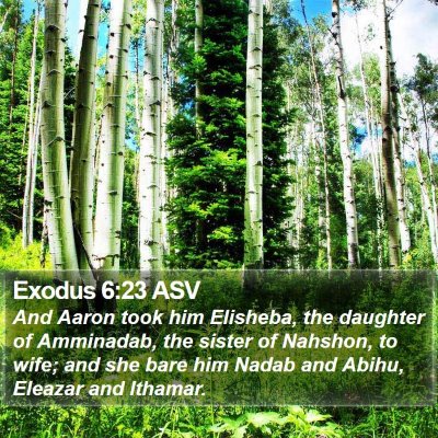 Exodus 6:23 ASV Bible Verse Image