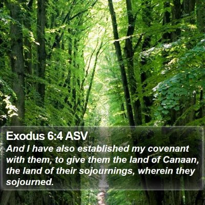 Exodus 6:4 ASV Bible Verse Image