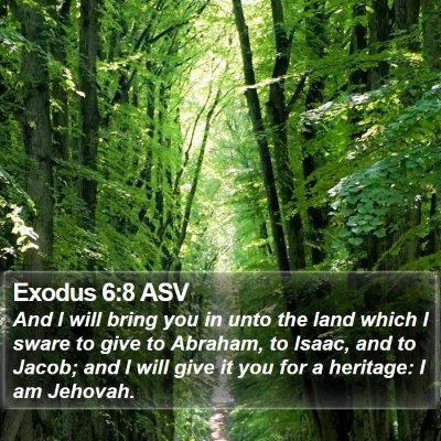 Exodus 6:8 ASV Bible Verse Image