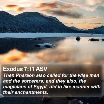 Exodus 7:11 ASV Bible Verse Image