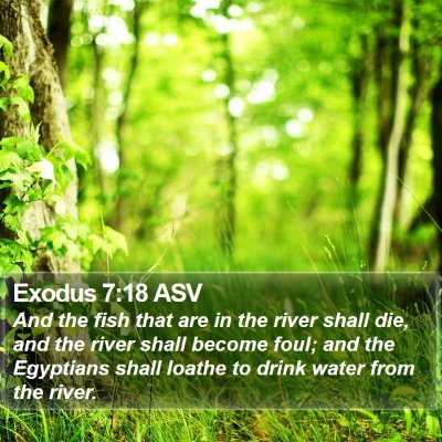 Exodus 7:18 ASV Bible Verse Image