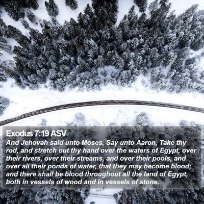 Exodus 7:19 ASV Bible Verse Image
