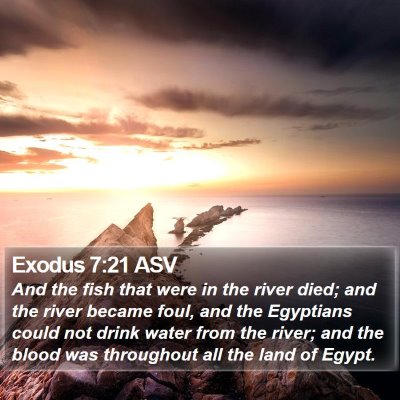 Exodus 7:21 ASV Bible Verse Image