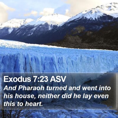 Exodus 7:23 ASV Bible Verse Image