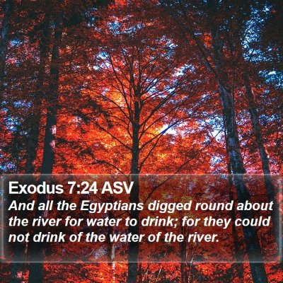 Exodus 7:24 ASV Bible Verse Image