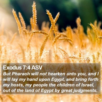 Exodus 7:4 ASV Bible Verse Image