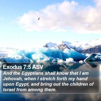 Exodus 7:5 ASV Bible Verse Image