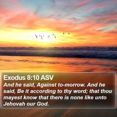 Exodus 8:10 ASV Bible Verse Image