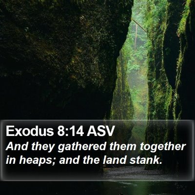 Exodus 8:14 ASV Bible Verse Image
