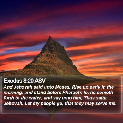 Exodus 8:20 ASV Bible Verse Image