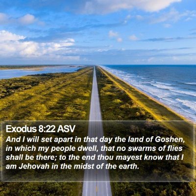Exodus 8:22 ASV Bible Verse Image