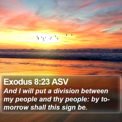 Exodus 8:23 ASV Bible Verse Image