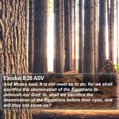 Exodus 8:26 ASV Bible Verse Image