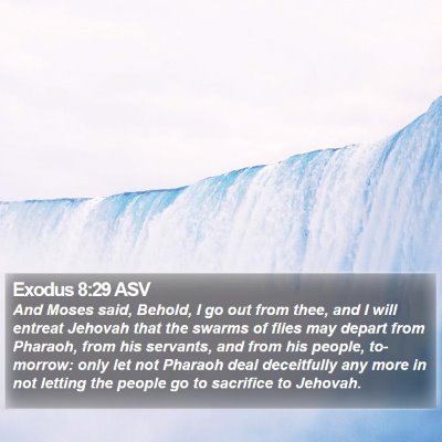 Exodus 8:29 ASV Bible Verse Image