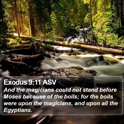 Exodus 9:11 ASV Bible Verse Image