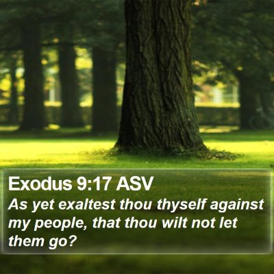 Exodus 9:17 ASV Bible Verse Image