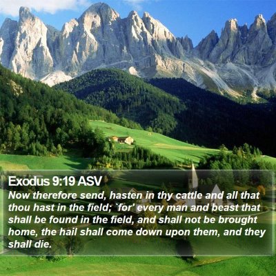 Exodus 9:19 ASV Bible Verse Image