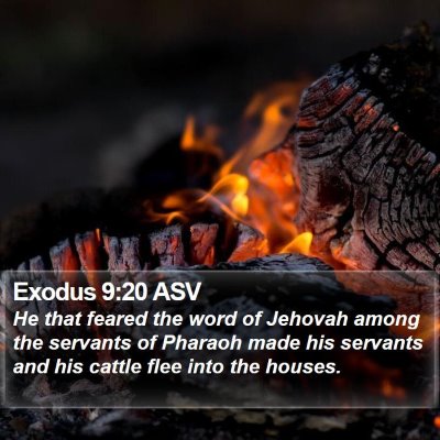 Exodus 9:20 ASV Bible Verse Image