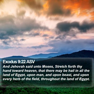 Exodus 9:22 ASV Bible Verse Image