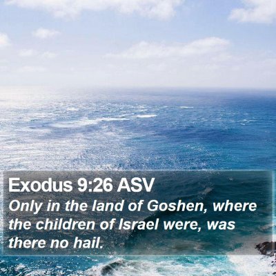Exodus 9:26 ASV Bible Verse Image