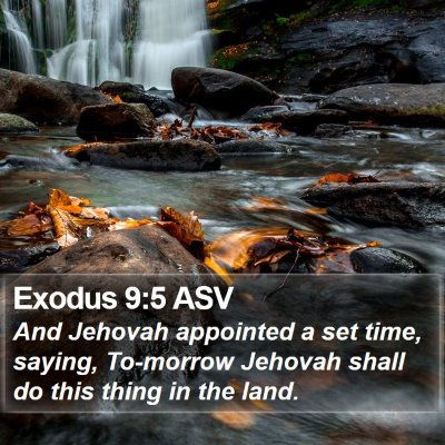 Exodus 9:5 ASV Bible Verse Image