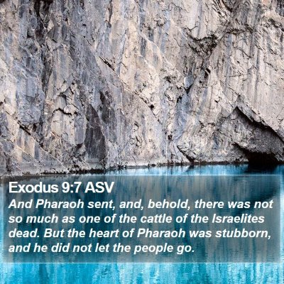 Exodus 9:7 ASV Bible Verse Image